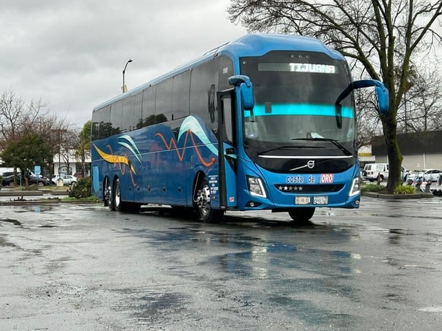 Blue and dark Volvo tour bus with decorative wave design parked on wet pavement